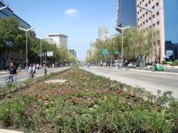Avoid taking Insurgentes