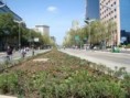 Avoid taking Insurgentes